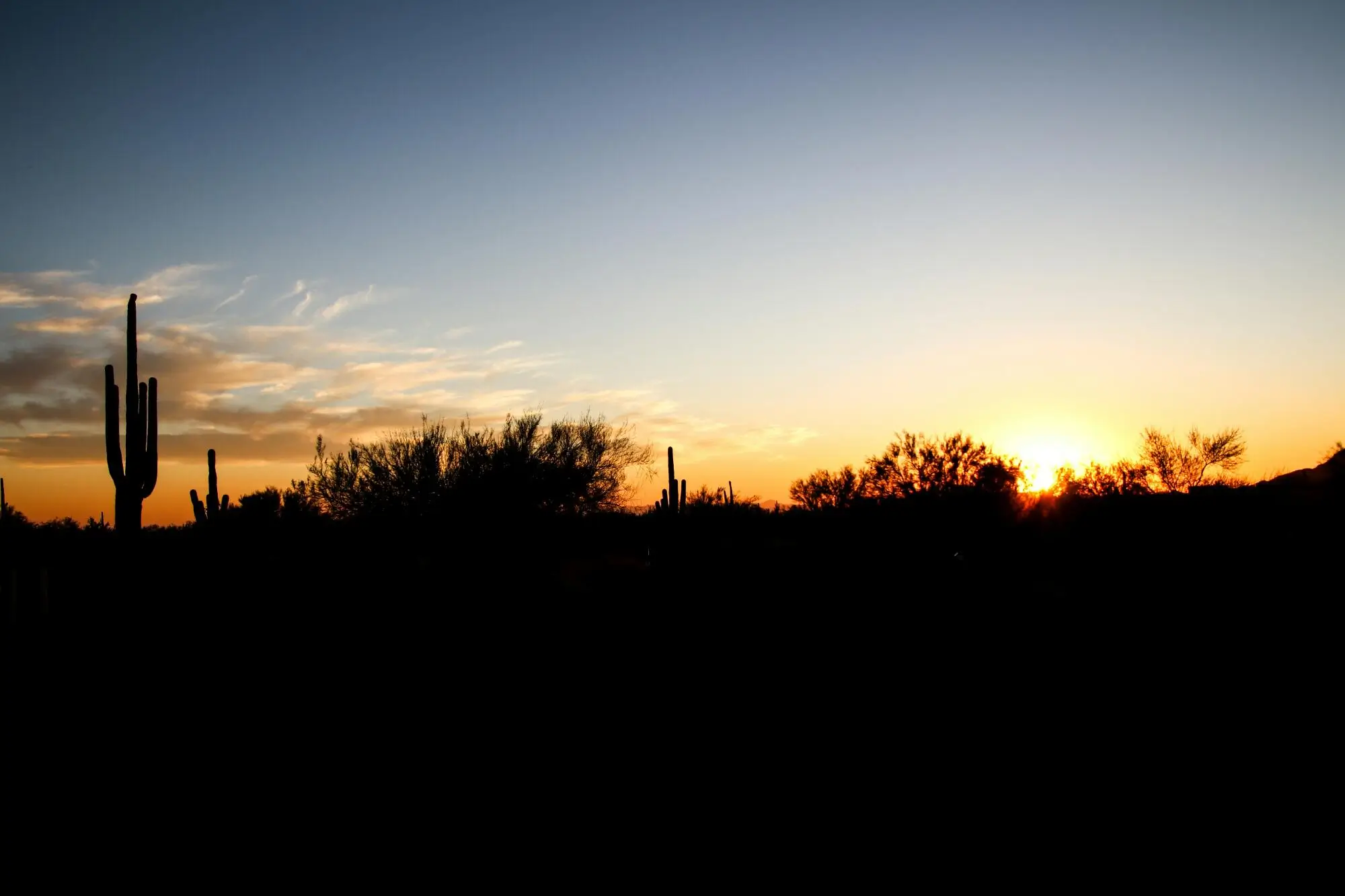 Which Up-and-Coming Neighborhoods in Phoenix Should You Be Investing in Now?