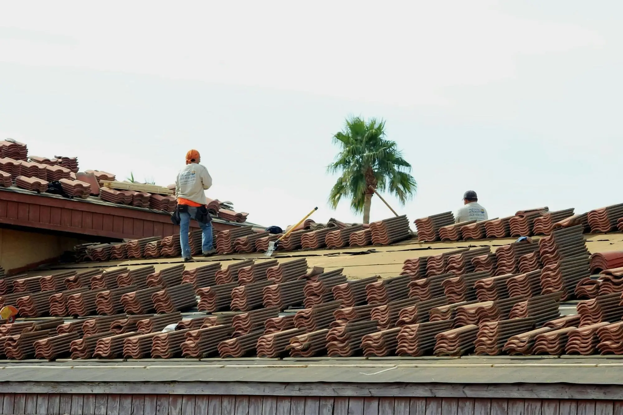 How Property Management Can Help You Protect Your Investment in Phoenix, AZ